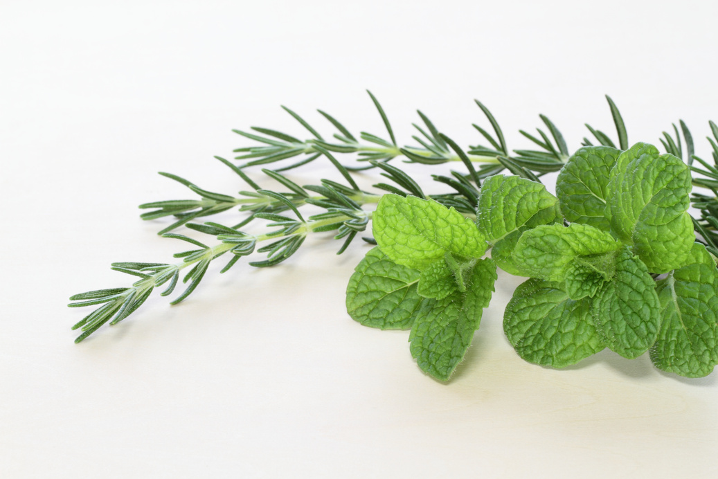 mint with a rosemary